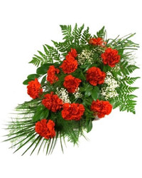 red carnations with babys breath